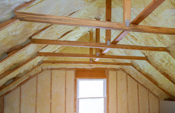 Best Commercial Insulation Contractor  in Appomattox, VA