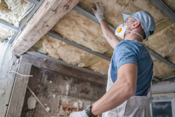 Best Soundproof Insulation Installation  in Appomattox, VA