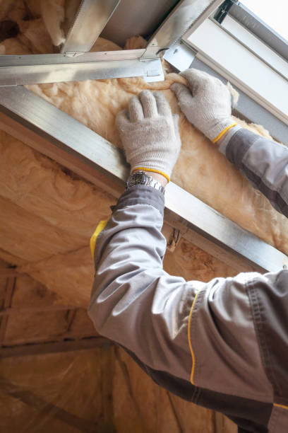 Best Cellulose Insulation  in Appomattox, VA