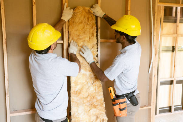 Best Insulation Contractors for Homes  in Appomattox, VA