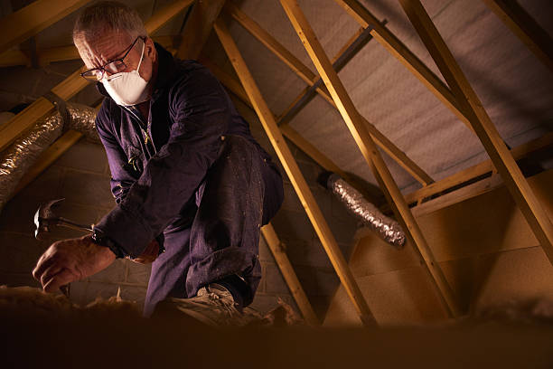 Best Cellulose Insulation  in Appomattox, VA