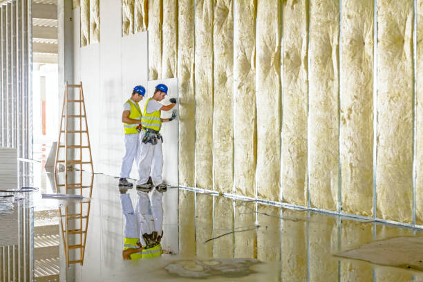 Best Residential Insulation Services  in Appomattox, VA